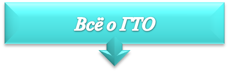 вг4.png