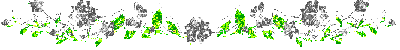аним.gif