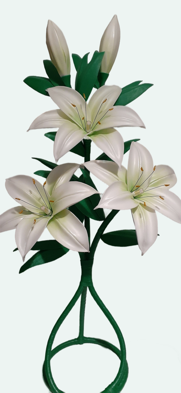 1000067065-edited-free (carve.photos).png