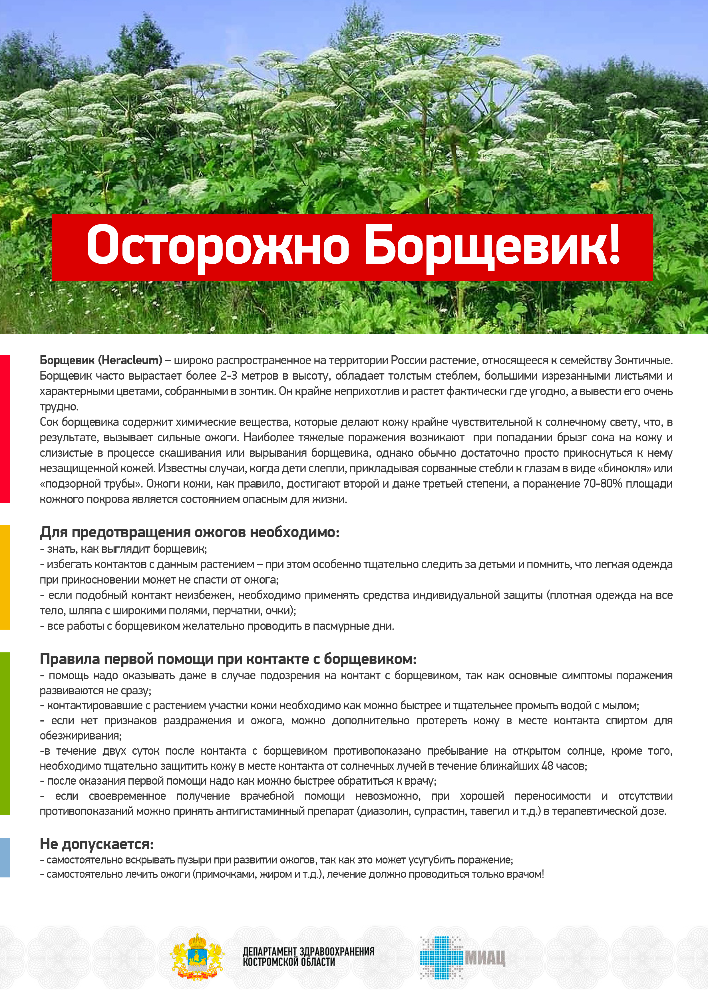 борщевик  листовка.png