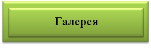 гал нл.jpg