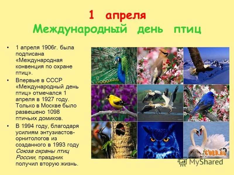 slide_28.jpg