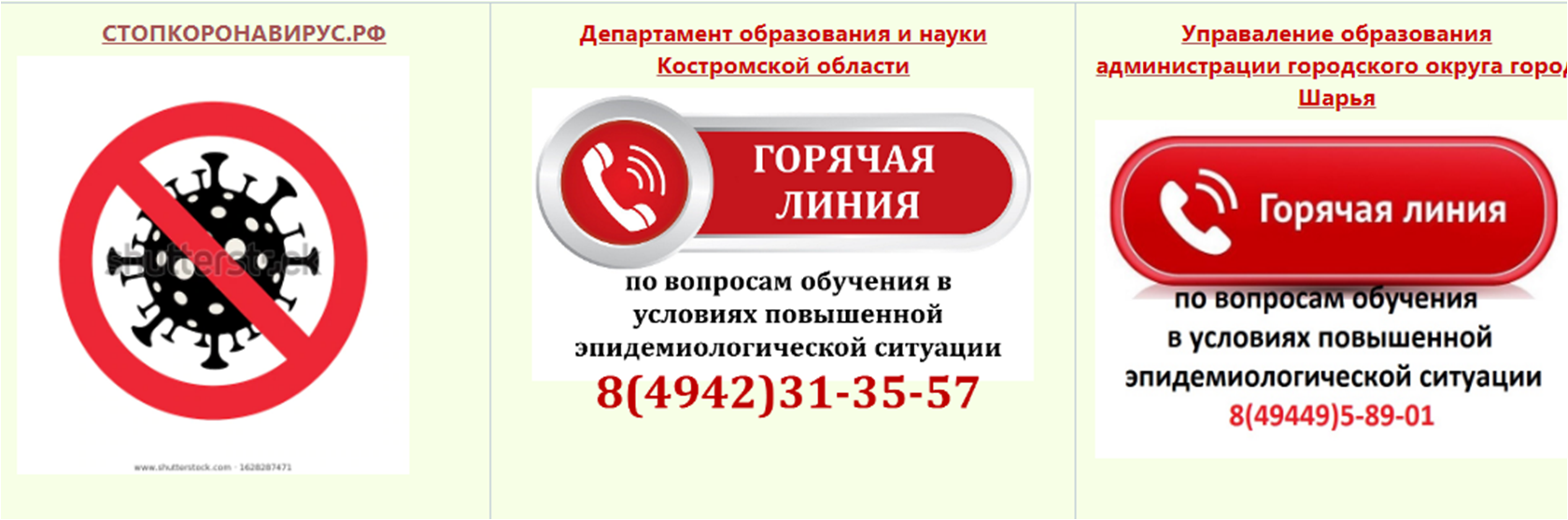 коронавирус 2.png