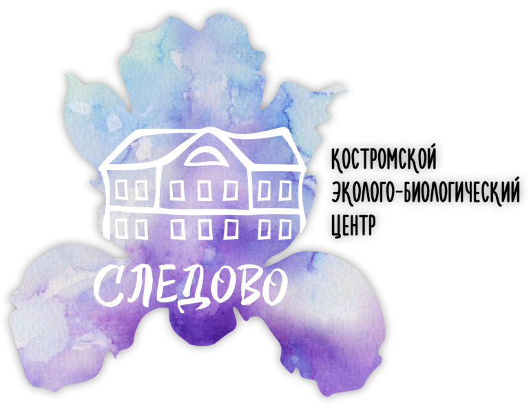 cropped-logo.png