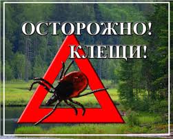 клещи.jpg