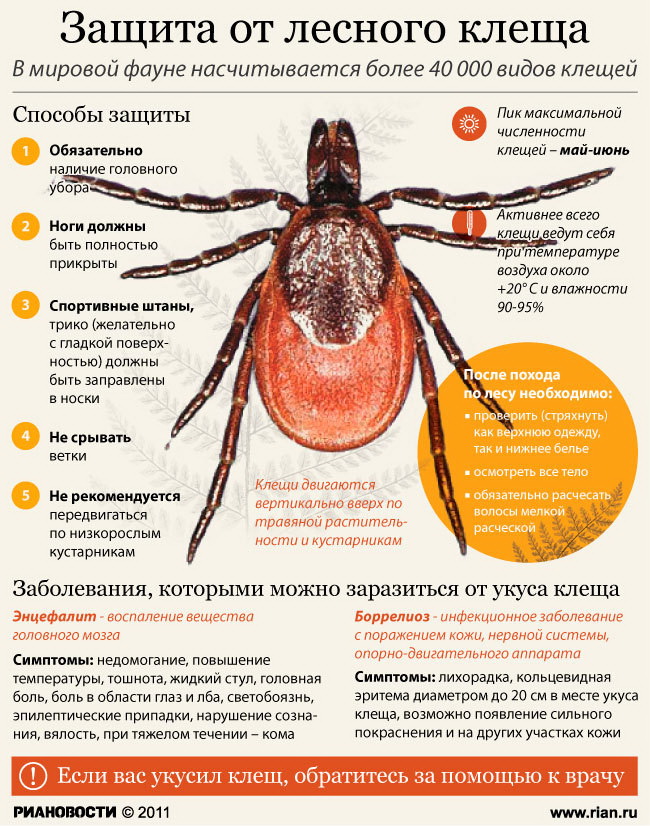 памятка о клещах карт.jpg