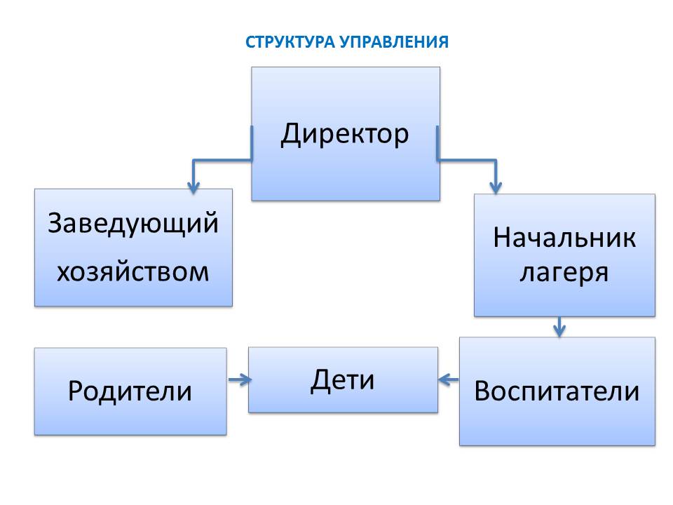 СТРУКТУРА УПРАВЛЕНИЯ.jpg