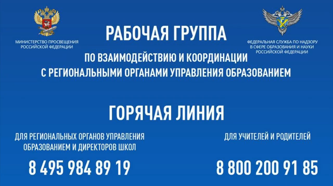 горячая линия.png