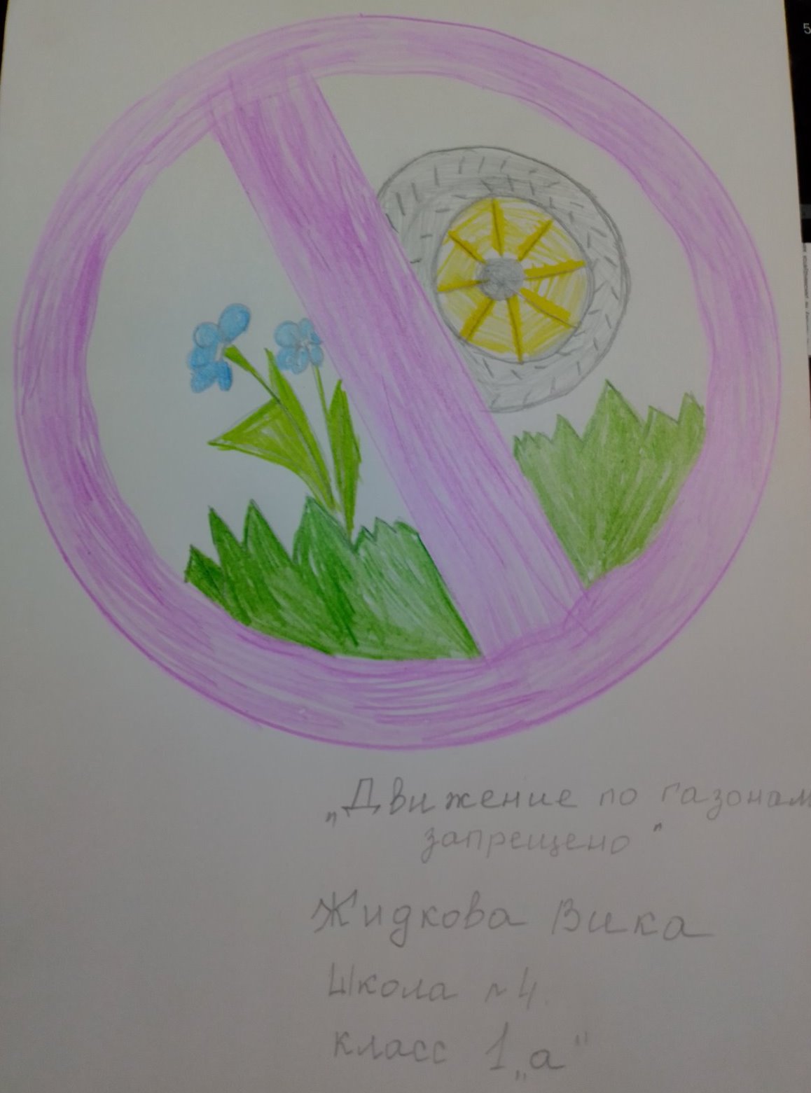 Жидкова Виктория МОУ СОШ №4 Нерехта.jpg