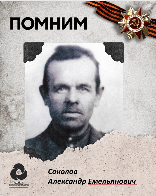 Соколов Александр Емельянович.jpg