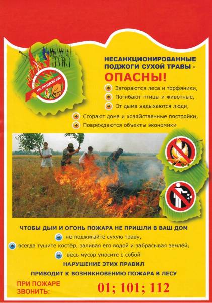 Пал травы 1.jpg