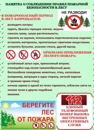 Пал травы 2.jpg