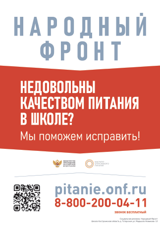 Народный фронт.PNG