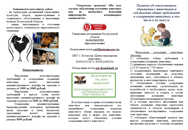 Ответственное отношение.PNG