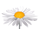 15789061.gif