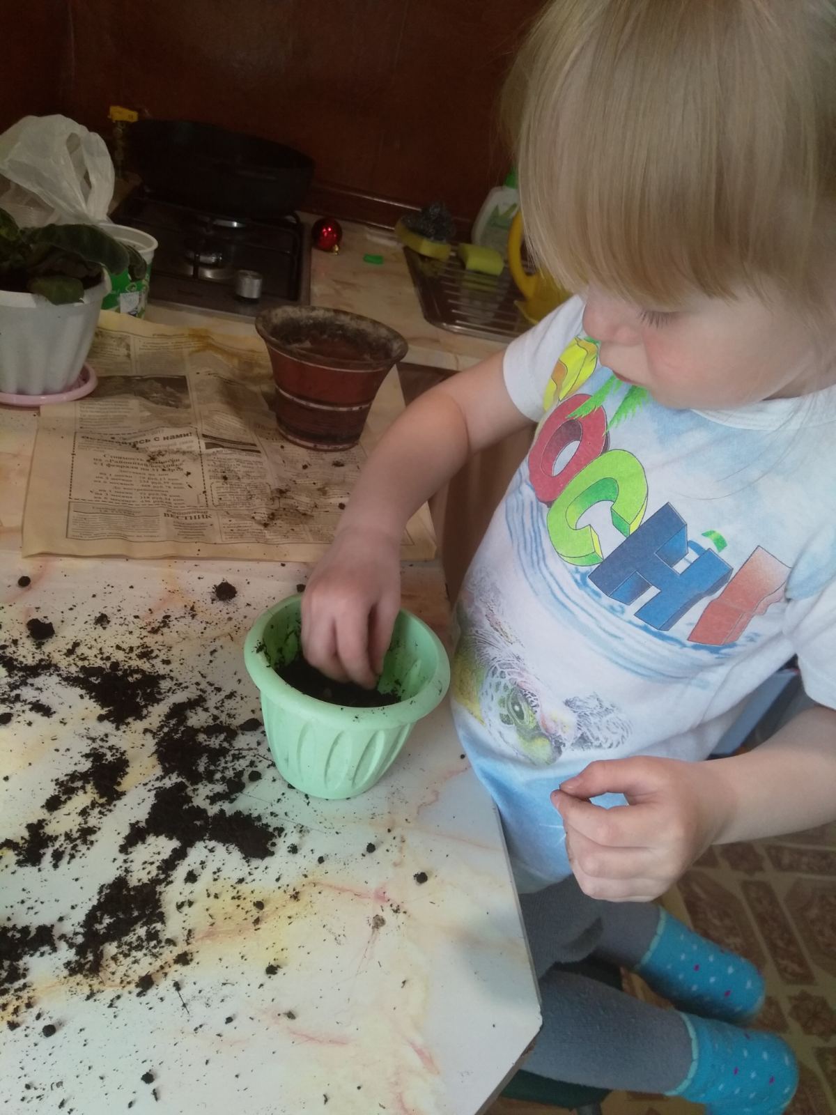 IMG-5c09c2f3d44daa42e79dcf7221145b70-V.jpg