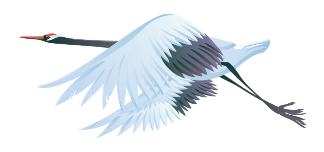 4529317.png