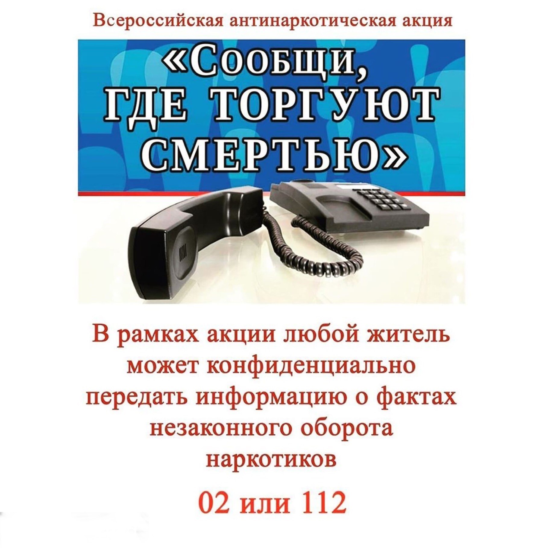 1703202214041.jpg