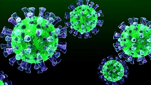 koronavirus.jpg