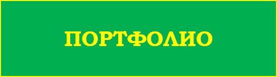 ПОРТФОЛИО.jpg