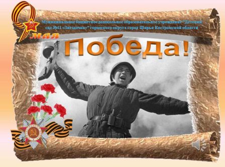 пво.jpg