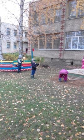 20181012_114726.jpg