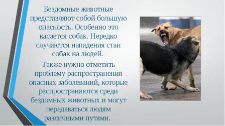 94ba883350aa6f599ded2c1a5588ea47.jpeg