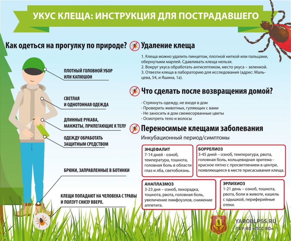 IMG-b616d62e95184f6ac386e482246f7508-V.jpg