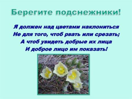 slide-18.jpg