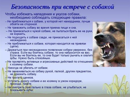 slide-20.jpg