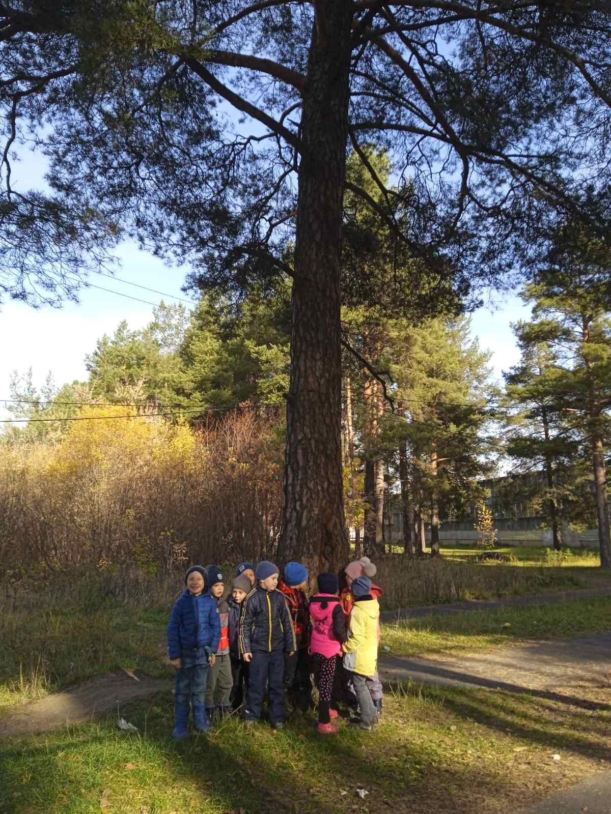 изображение_2021-10-20_211930.png