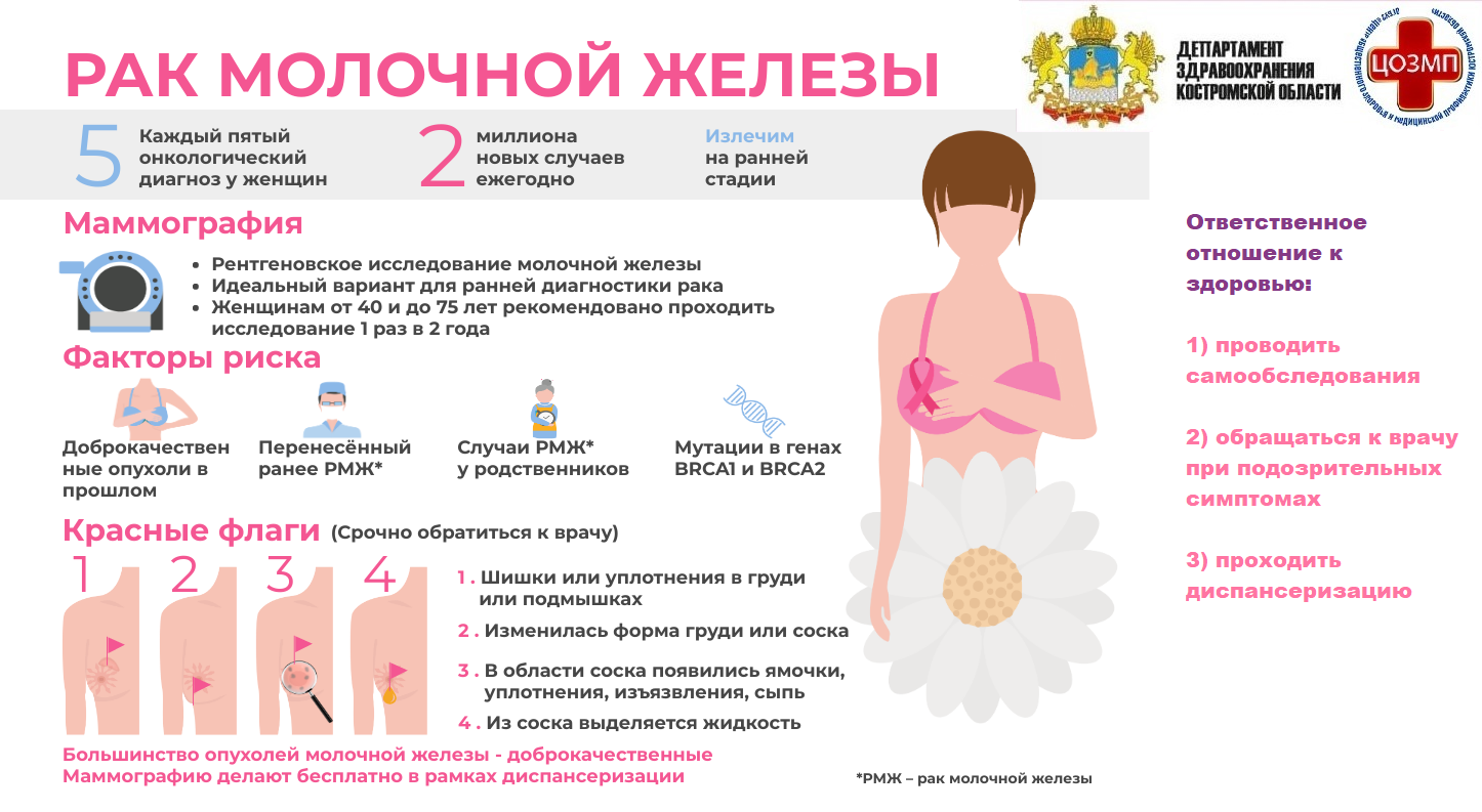листока молочная железа.png