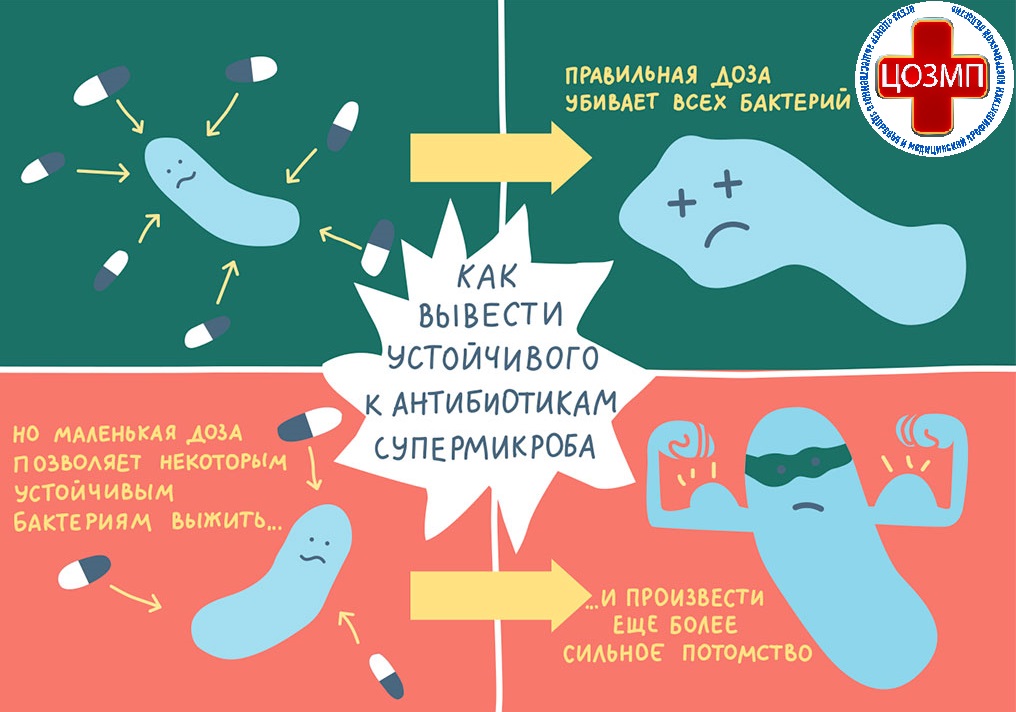 i_012.jpg
