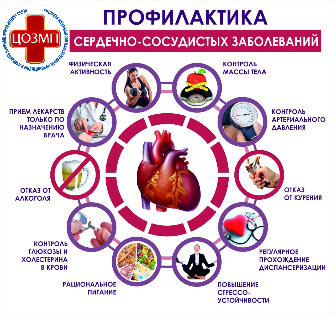 Профилактика ССЗ.jpg