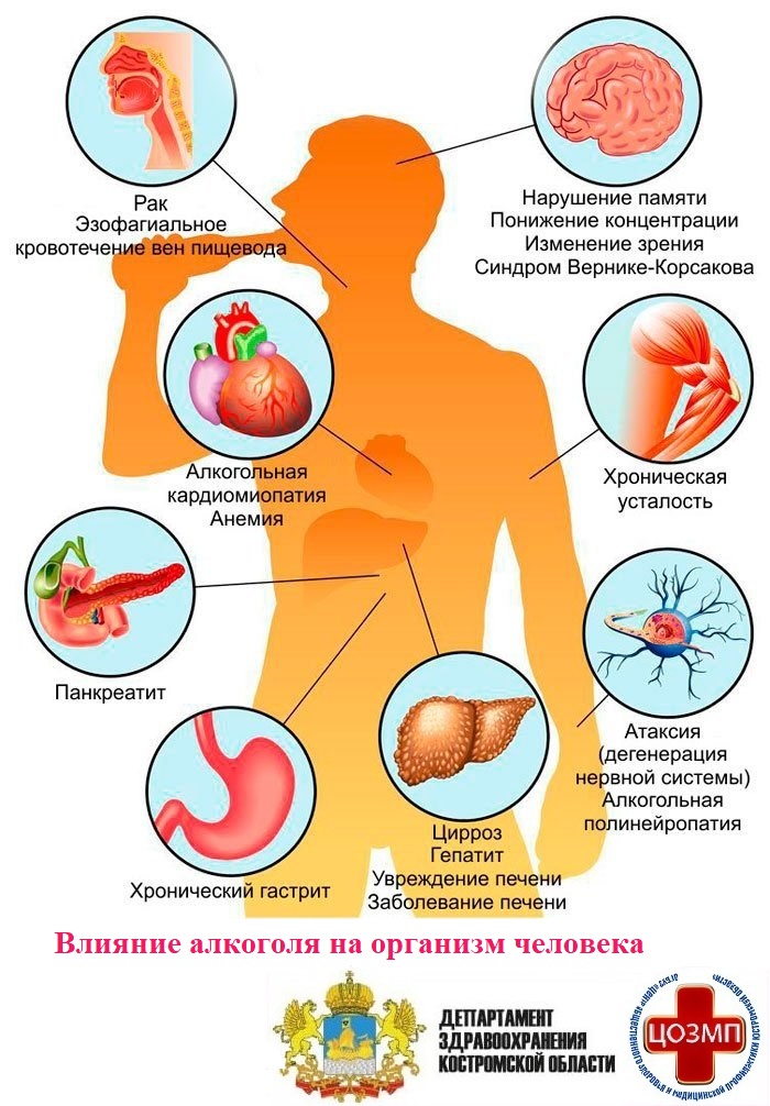 влияние алкоголя - - -.jpg