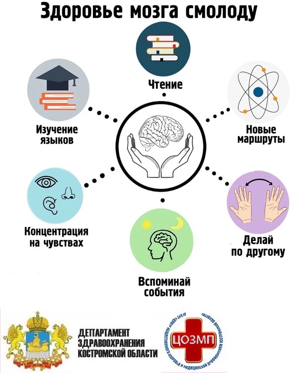 здоровье мозга.jpg