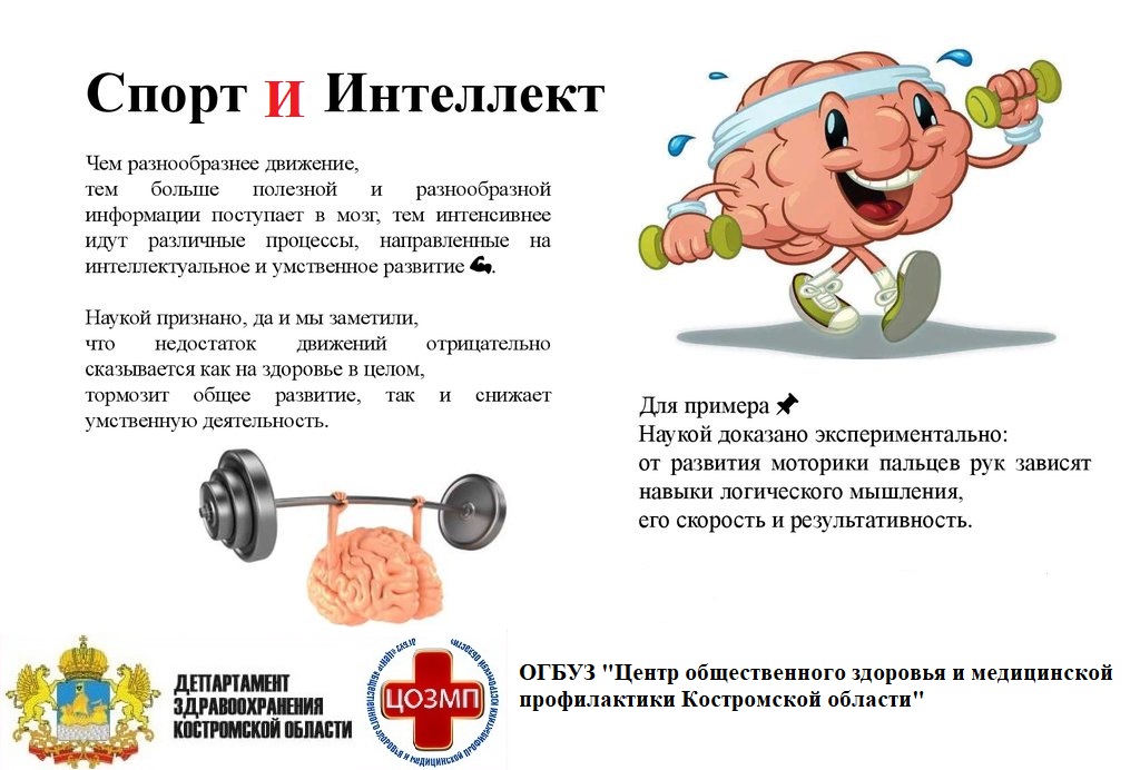 спорт и интеллект.jpg