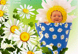 4.gif