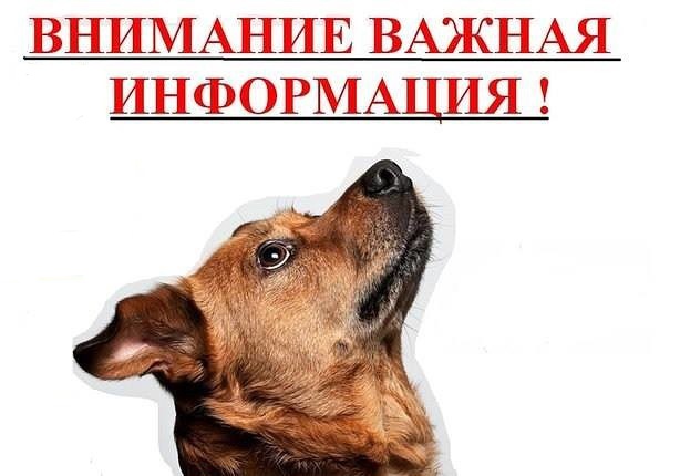 Важно.jpg