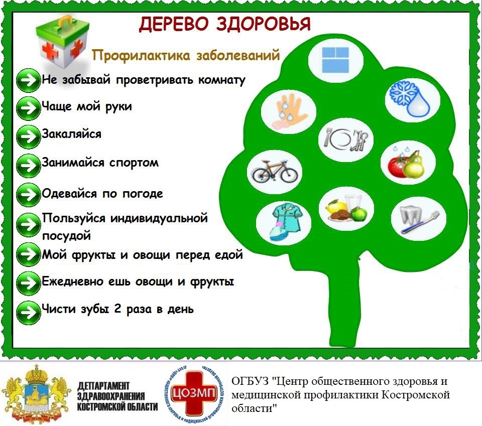 Дерево здоровья.jpg