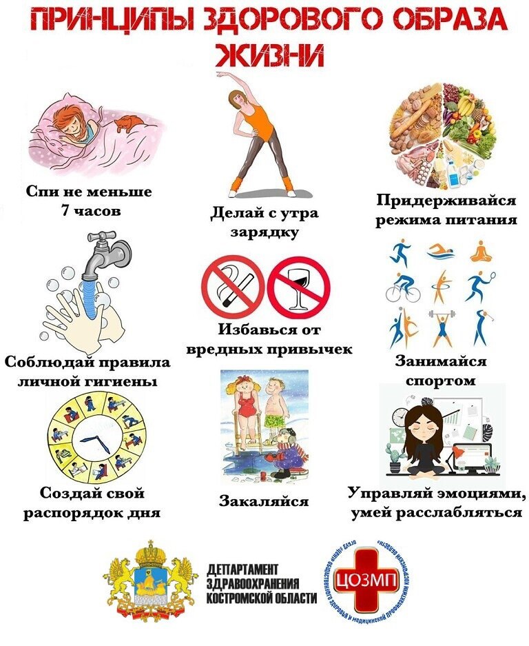 зож.jpg