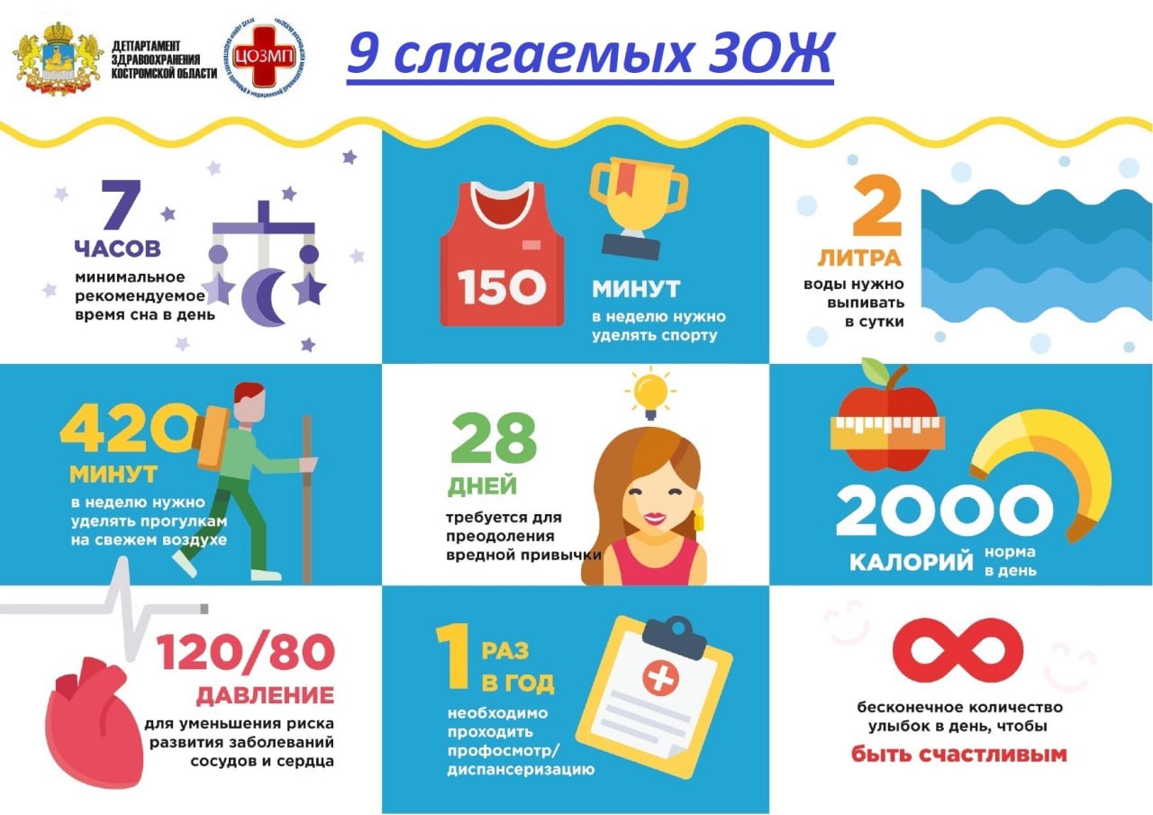 зож2.jpg