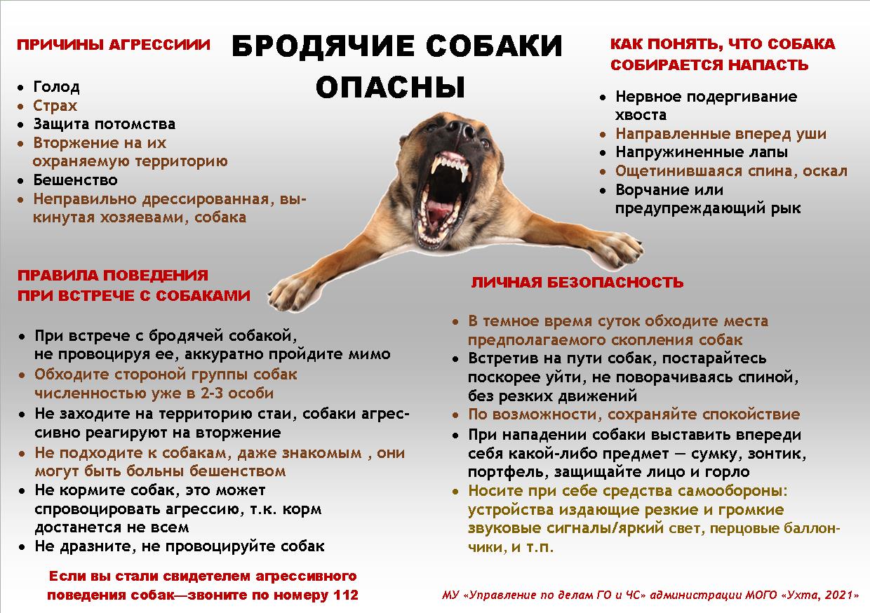 Памятка (2).jpg