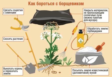 как бороться.jpg