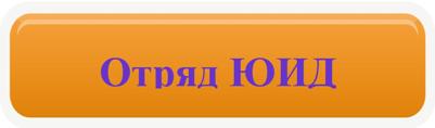отряд ЮИД.jpg