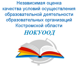 noko-2024.png