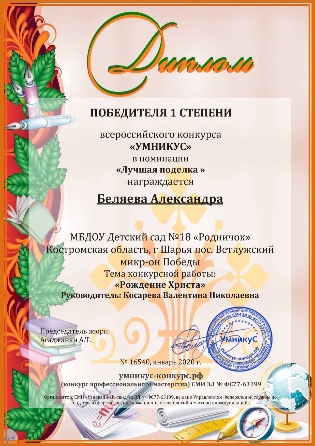 диплом беляева.jpg