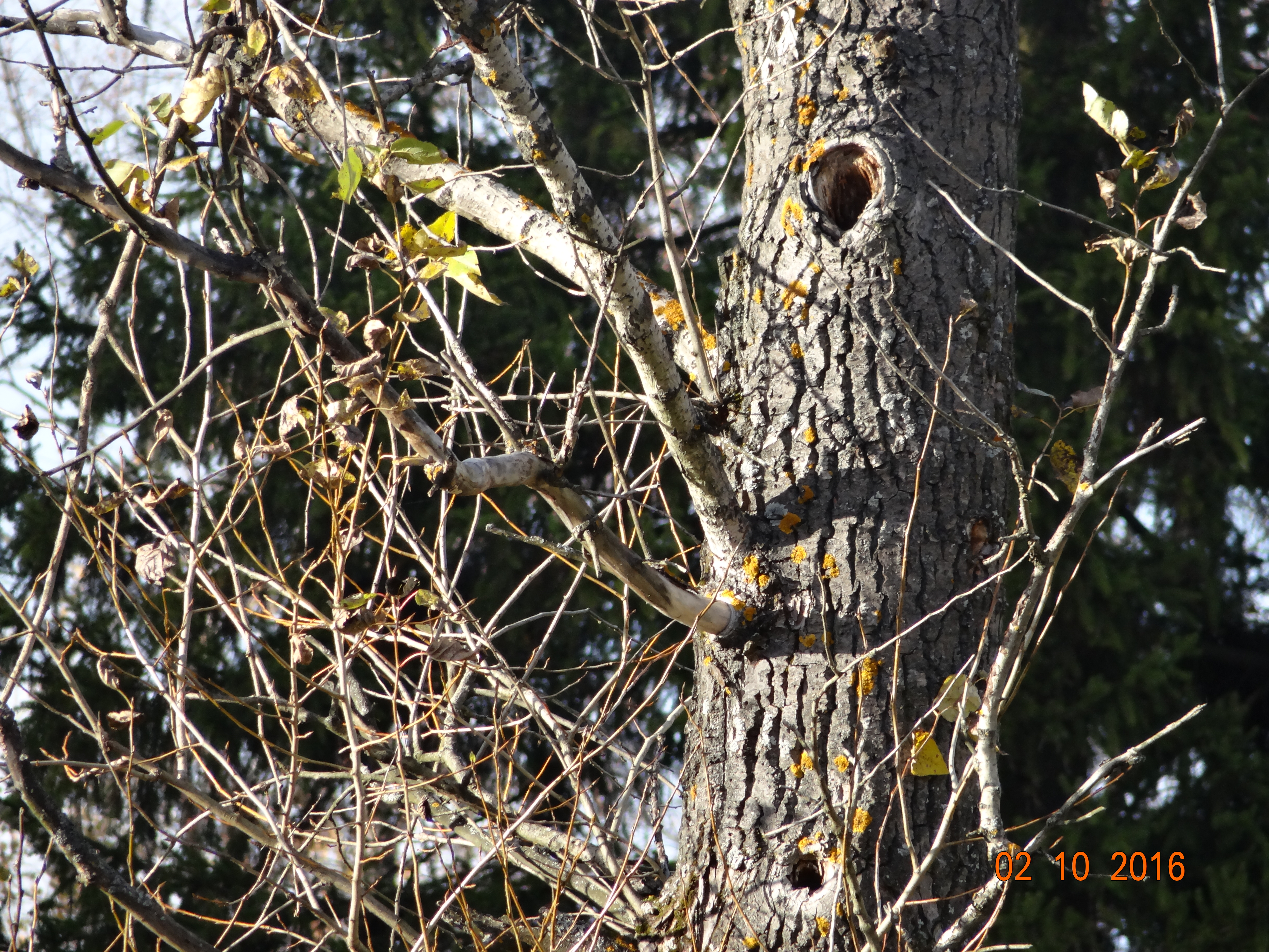 DSC08889.JPG