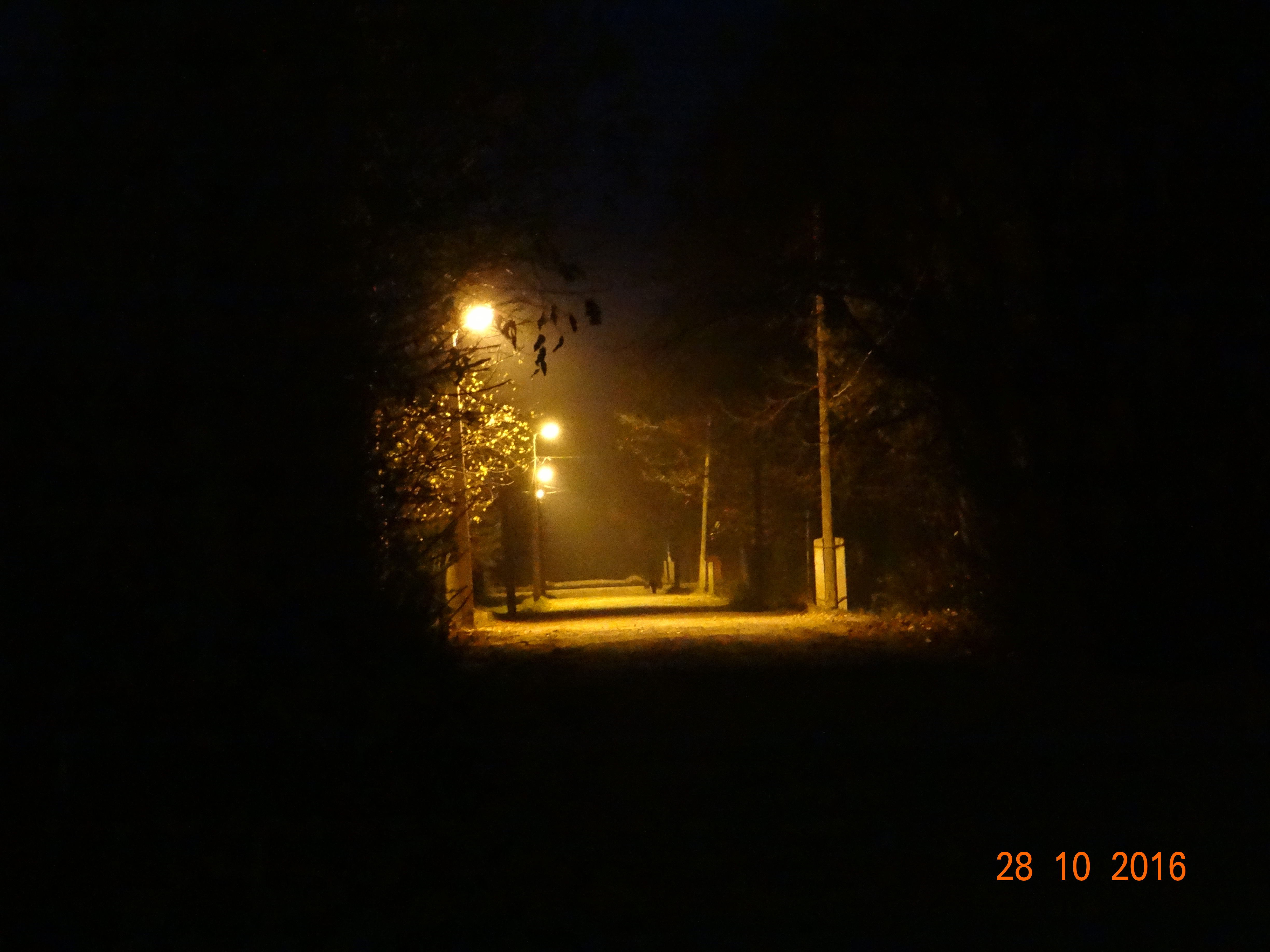 DSC09007.JPG