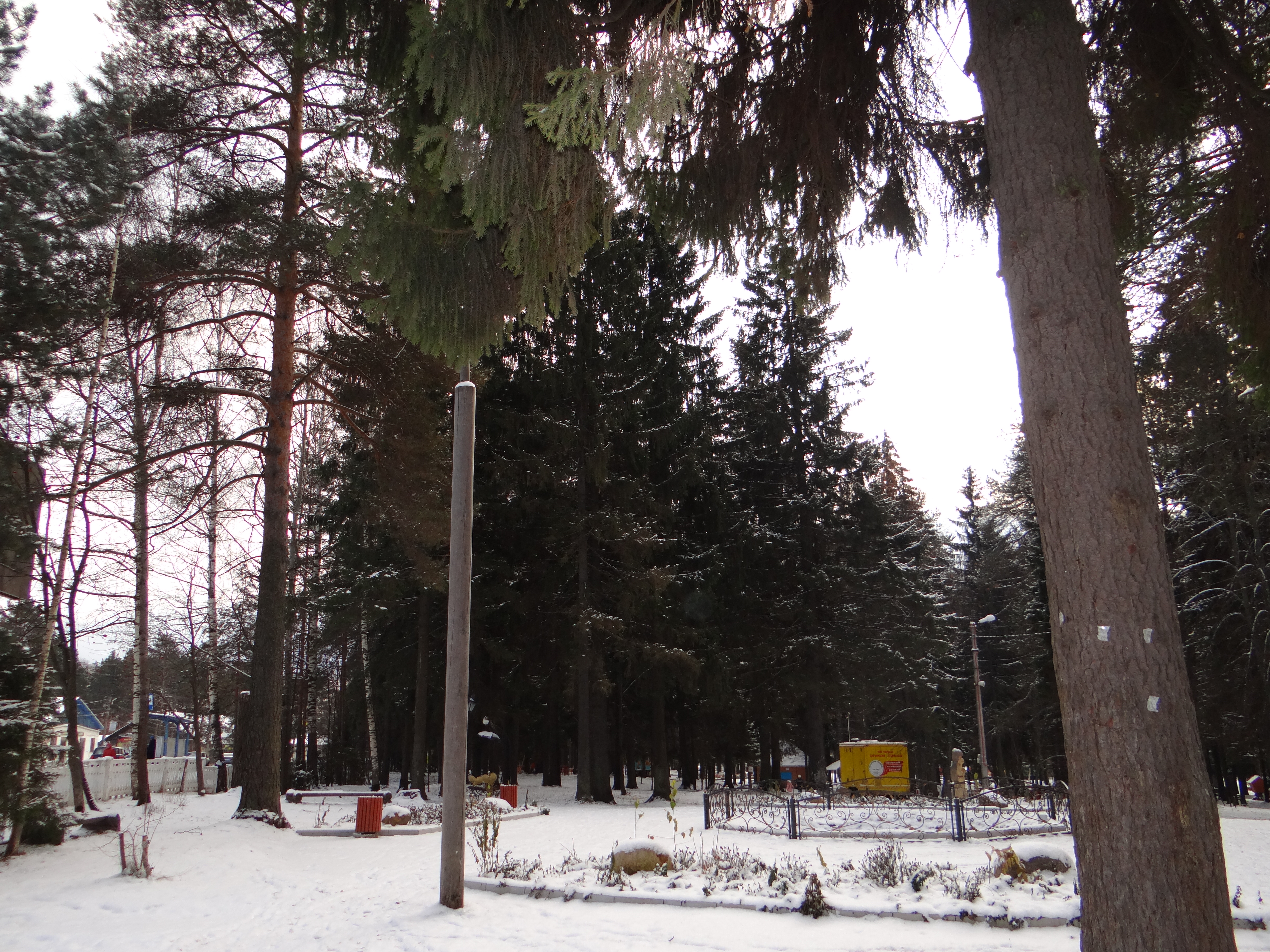 DSC09129.JPG